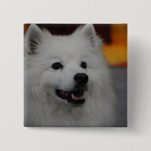Amerikanischer Eskimohundeknopf Button