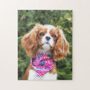 Amerikanischer Flagge Cavalier King Charles Spanie