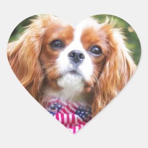 Amerikanischer Flagge Cavalier King Charles Spanie Herz-Aufkleber