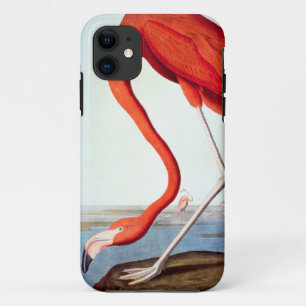 Amerikanischer Flamingo title_seo2