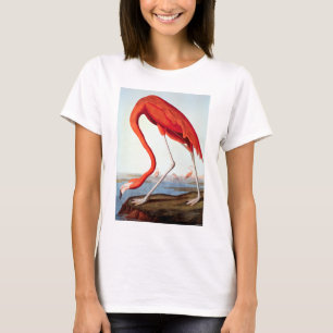 Amerikanischer Flamingo T-Shirt