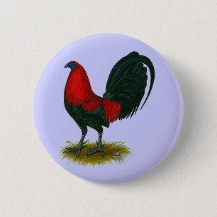 Amerikanischer Gamecock:  Braunrot Button