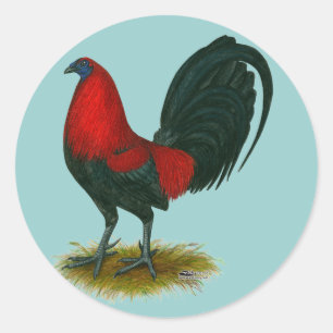Amerikanischer Gamecock: Braunrot Runder Aufkleber
