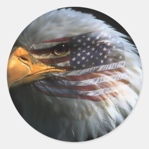 Amerikanischer Glatzenadler mit amerikanischen Fla Runder Aufkleber