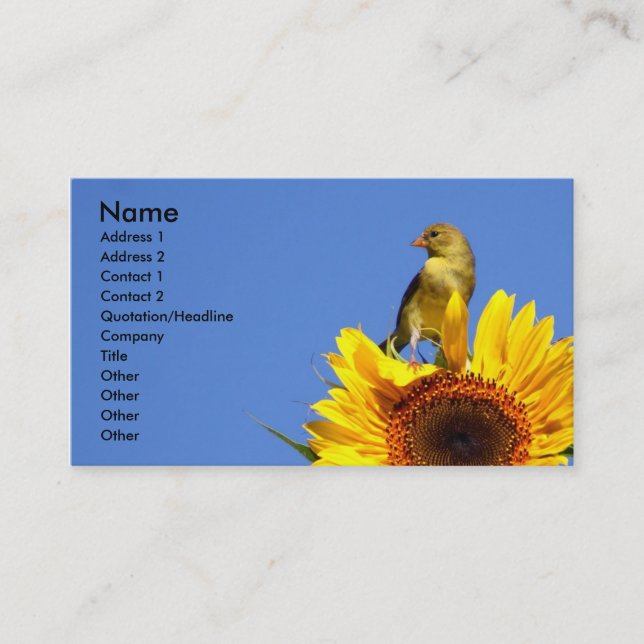Amerikanischer Goldfinch auf Sonnenblume Visitenkarte (Vorderseite)