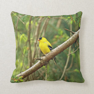 Amerikanischer Goldfinch-Singvogel - Spinus Kissen