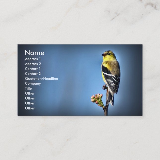 Amerikanischer Goldfinch Visitenkarte (Vorderseite)