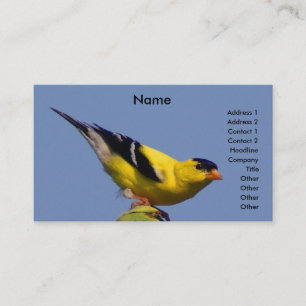 Amerikanischer Goldfinch Visitenkarte