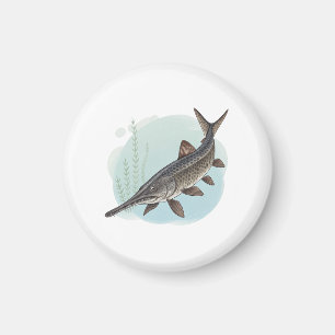 Amerikanischer Löffelstör Magnet