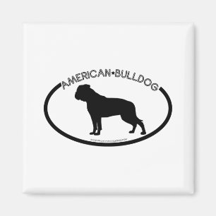 Amerikanischer Magnet