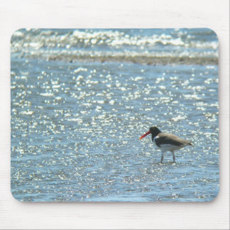Amerikanischer Oystercatcher Mousepad