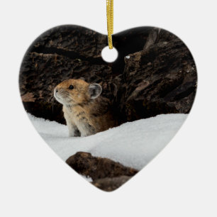 Amerikanischer Pika im Schnee mit herzförmigem Ker Keramik Ornament
