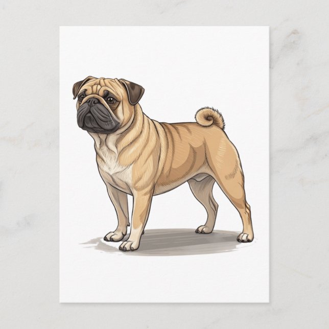 Amerikanischer Pugabull Postkarte (Vorderseite)
