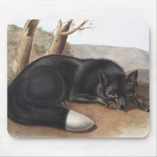 Amerikanischer Schwarzfuchs oder Silberfuchs (Vulp Mousepad