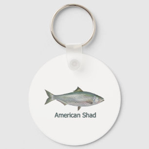 Amerikanischer Shad (betitelt) Schlüsselanhänger