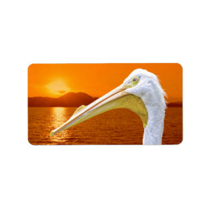 Amerikanischer Sonnenuntergang auf dem Weißen Peli Adressaufkleber