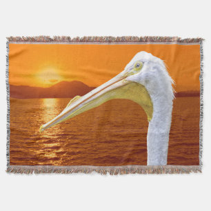 Amerikanischer Sonnenuntergang auf dem Weißen Peli Decke