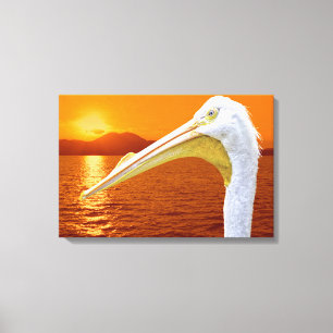 Amerikanischer Sonnenuntergang auf dem Weißen Peli Leinwanddruck
