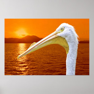 Amerikanischer Sonnenuntergang auf dem Weißen Peli Poster