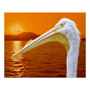 Amerikanischer Sonnenuntergang auf dem Weißen Peli Poster