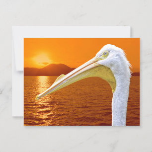 Amerikanischer Sonnenuntergang auf dem Weißen Peli Postkarte