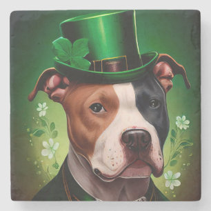 Amerikanischer Staffordshire-Hund an St. Patrick's Steinuntersetzer