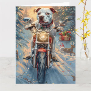 Amerikanischer Staffordshire-Hund fährt Motorrad z Karte