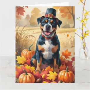 Amerikanischer Staffordshire-Terrier im Herbstlaub Karte