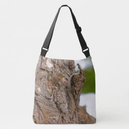 Amerikanischer Treecreeper Songbird mit leckerem B Tasche
