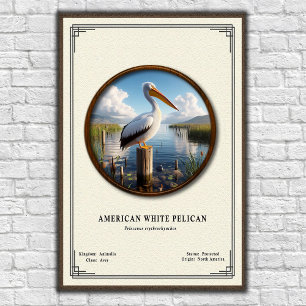 Amerikanischer Weißer Pelikan Zoologie-Serie Poste Poster
