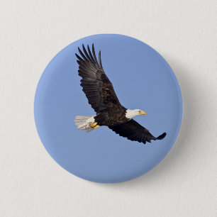 Amerikanischer Weißkopfseeadler Button