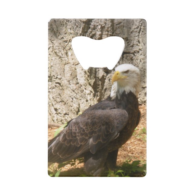 Amerikanischer Weißkopfseeadler-Flaschen-Öffner Geldbeutel Flaschenöffner (Rückseite)