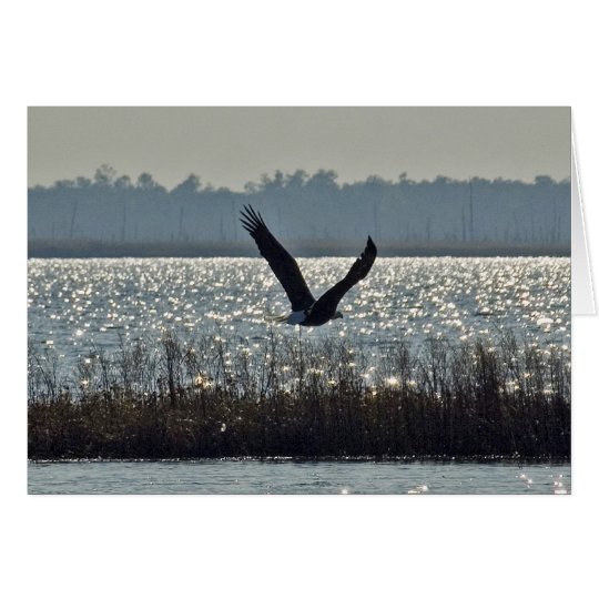 Amerikanischer Weißkopfseeadler Karte