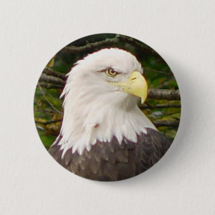 Amerikanischer Weißkopfseeadler-Knopf Button