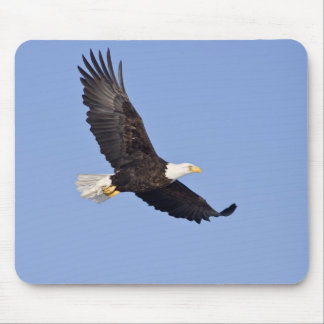 Amerikanischer Weißkopfseeadler Mousepad