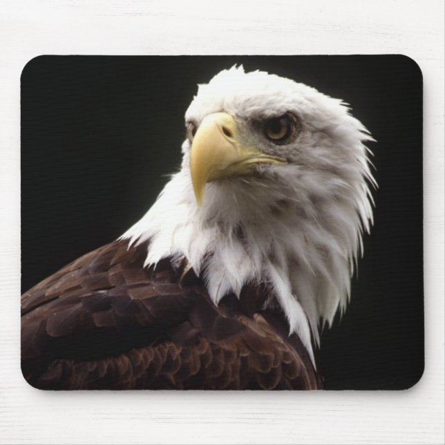 Amerikanischer Weißkopfseeadler Mousepad (Vorne)