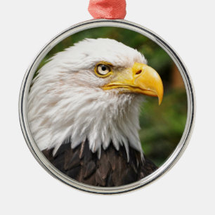Amerikanischer Weißkopfseeadler Ornament Aus Metall