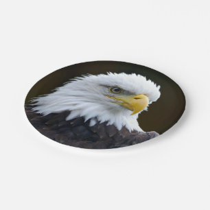 Amerikanischer Weißkopfseeadler Pappteller