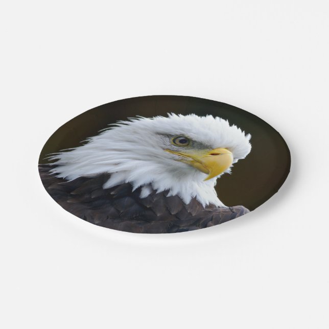 Amerikanischer Weißkopfseeadler Pappteller (Schrägansicht)