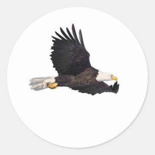 Amerikanischer Weißkopfseeadler Runder Aufkleber