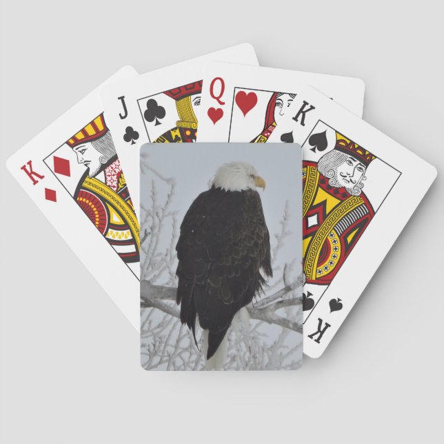 Amerikanischer Weißkopfseeadler-Spielkarten Spielkarten (Rückseite)