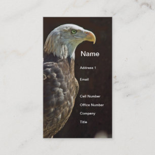 Amerikanischer Weißkopfseeadler Visitenkarte