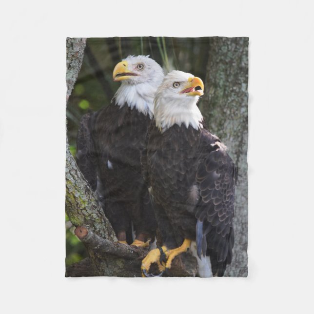 Amerikanischer Weißkopfseeadler-Wurf Fleecedecke (Vorderseite)