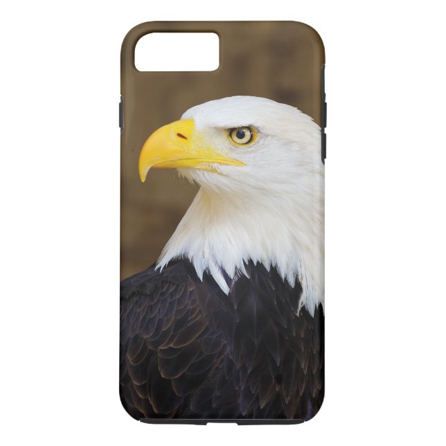 Amerikanischer WeißkopfseeadlerHaliaeetus Case-Mate iPhone Hülle (Rückseite)