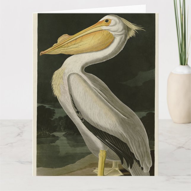 Amerikanischer Weißpelikan, Audubons Vögel von Ame Dankeskarte (Vorderseite)