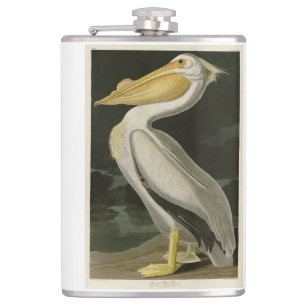 Amerikanischer Weißpelikan, Audubons Vögel von Ame Flachmann