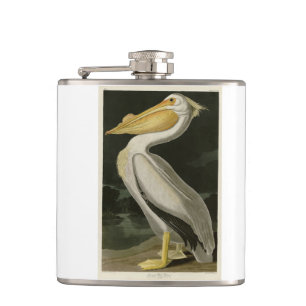 Amerikanischer Weißpelikan, Audubons Vögel von Ame Flachmann