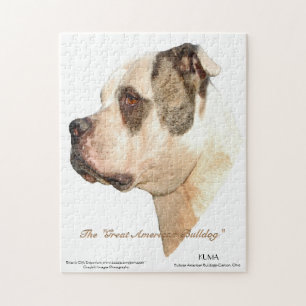 Amerikanisches Bulldoggen-Profil