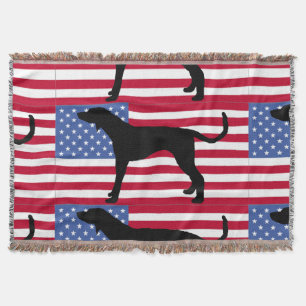 amerikanisches Englisch Coonhoundflagge silo.png Decke