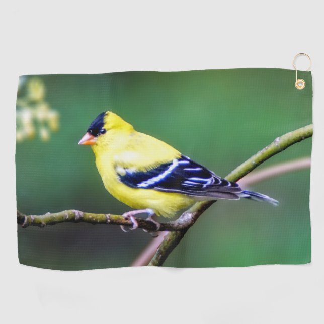 Amerikanisches Goldfinch-Golf-Tuch Golfhandtuch (Horizontal)